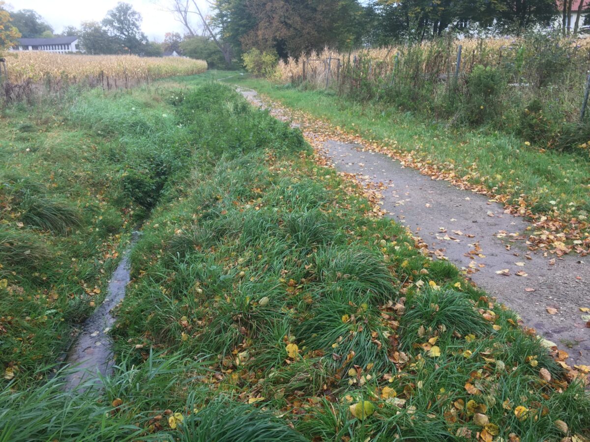 Güntkebach in Osnabrück. / Foto: Dominik Lapp