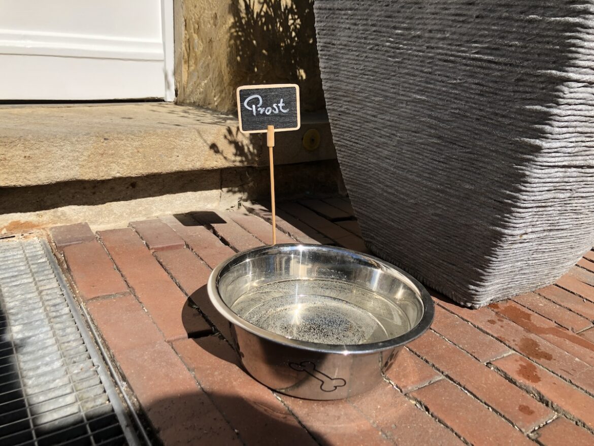 Trinknapf vor der HASEPOST