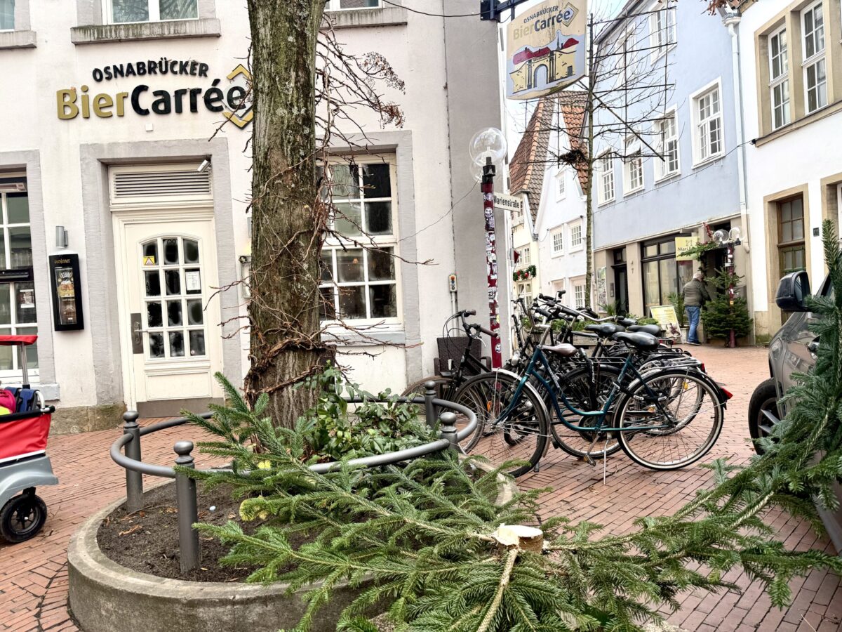 Weihnachtsbaum-Diebstahl
