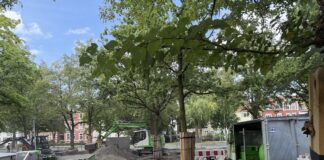 Bauarbeiten am Parkplatz Dominikanerkloster / Klingensberg / Foto: Pohlmann