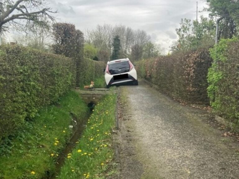 Mit Auto durch Kleingartenkolonie