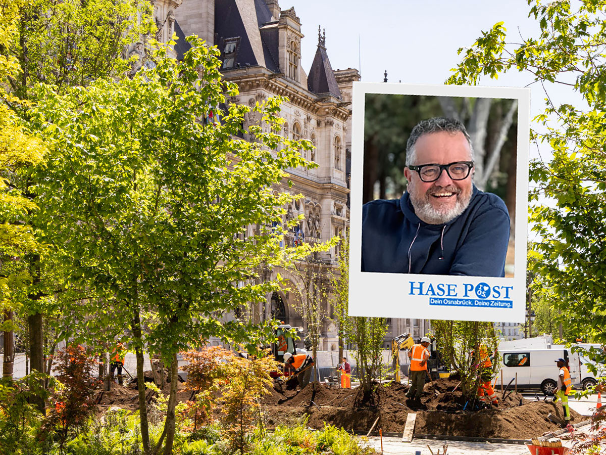 Bäume vor dem Rathaus in Paris, Kommentar