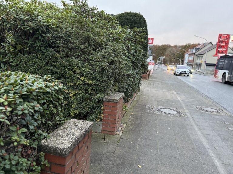 Vorgärten an der Mindener Straße in Lüstringen