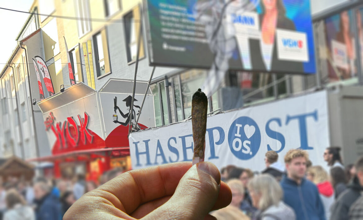 Cannabiskonsum auf der Maiwoche