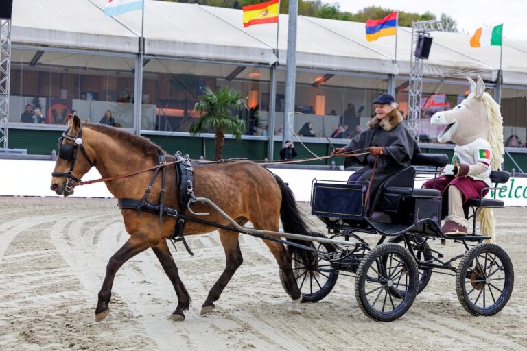Neues Mitglied bei Horses & Dreams: Maskottchen ‘Dreamy’