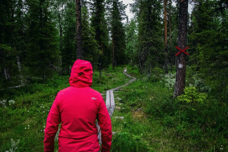 Outdoor Wandern im Wald