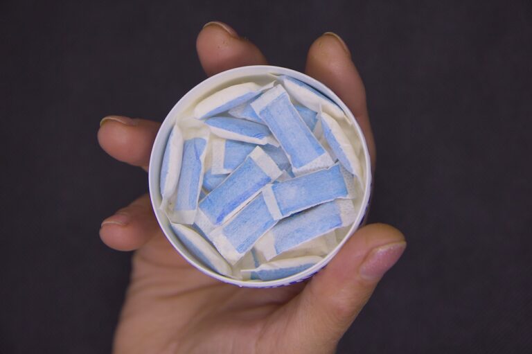 Snus Nikotinbeutel