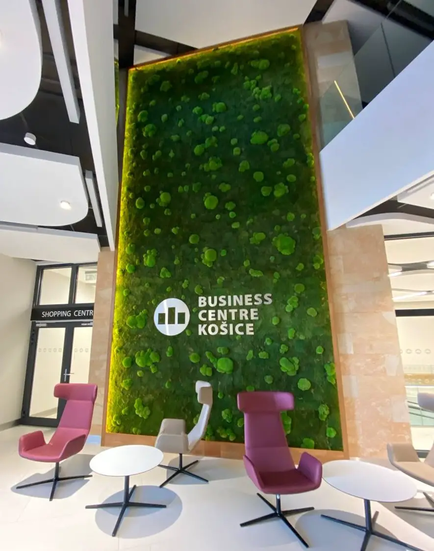 Mooswände: Monumentale Natur in der modernen Architektur vertikale Begrünung mit einer Mooswand