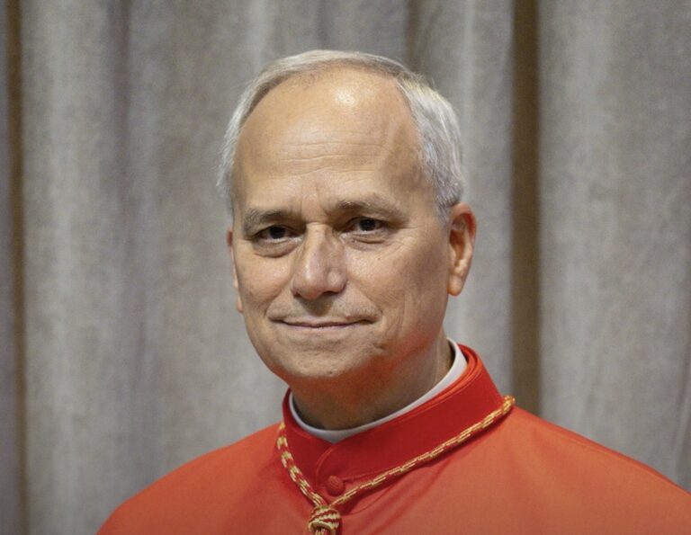 Papst Leo XIV aus den USA
