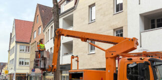 Baumfällarbeiten in der Bierstraße Osnabrück