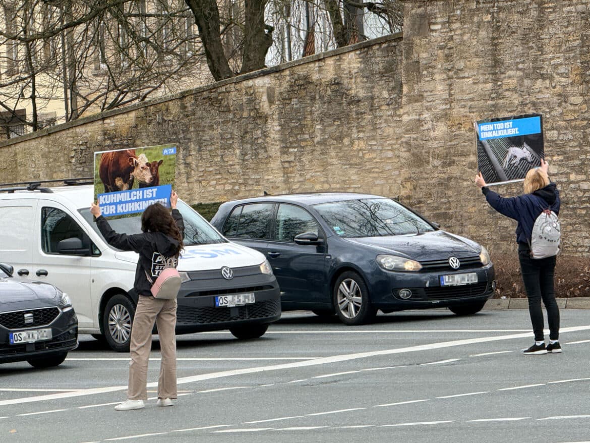Demonstration des PETA Street Teams Osnabrück