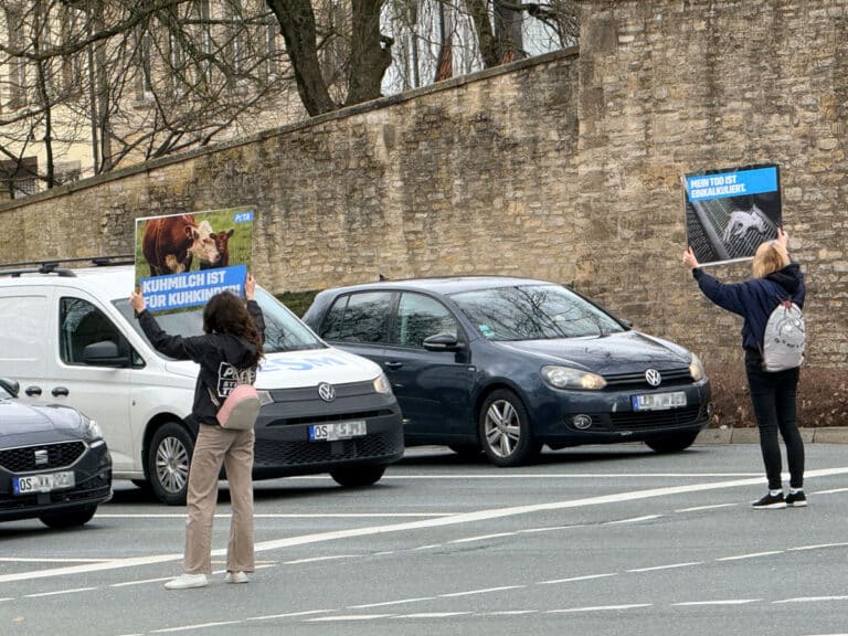 Demonstration des PETA Street Teams Osnabrück in Altstadt