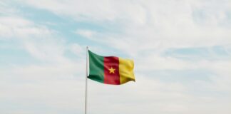 Nationalflagge von Kamerun