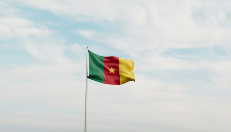 Nationalflagge von Kamerun