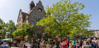 Zum Meller Geranienmarkt werden auch in diesem Jahr zahlreiche Besucherinnen und Besucher erwartet. / Foto: Sebastian Hummel