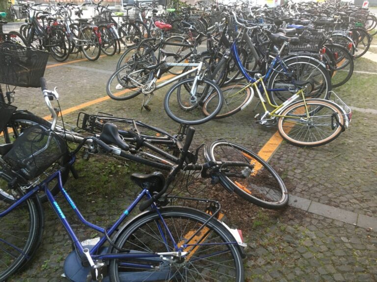 Alltag auf dem provisorischen Radboulevard. / Foto: Dominik Lapp