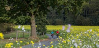 Melle Buer Kirchenburg Und M2 Radweg, Radfahren In Melle,