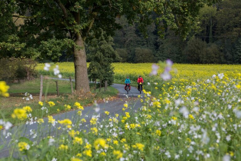 Melle Buer Kirchenburg Und M2 Radweg, Radfahren In Melle,