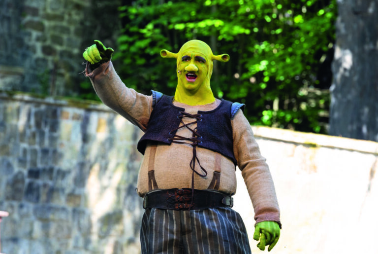 Mathias Meffert als Shrek. / Foto: Daniel Lagerpusch