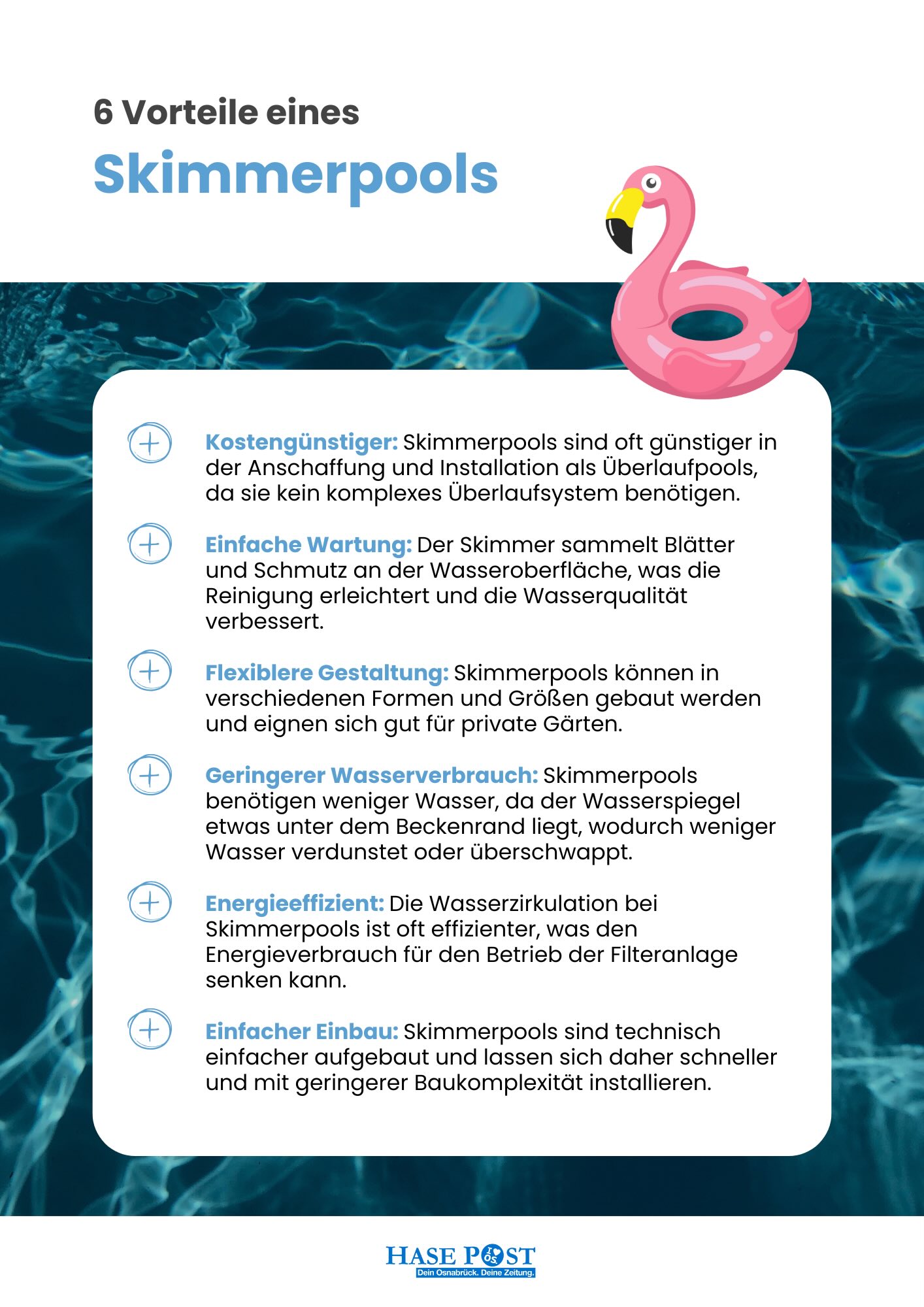 Infografik Skimmerpools