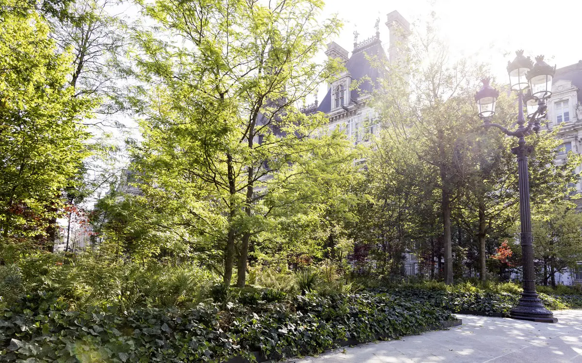 unter diesem kleinen Wäldchen ist eine Tiefgarage / Foto: Guillaume Bontemps / Ville de Paris