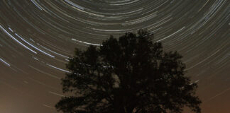 Osnabrücker Sternenhimmel