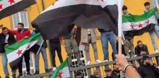 Pro-syrische Demonstration im schlossgarte Osnabrück, 8.12.2024