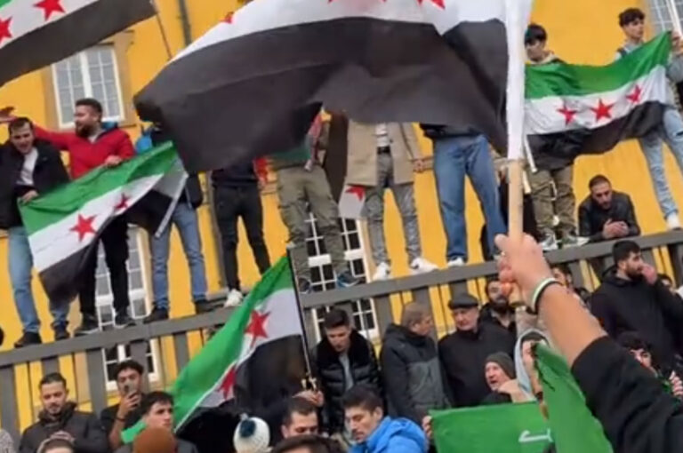 Pro-syrische Demonstration im schlossgarte Osnabrück, 8.12.2024