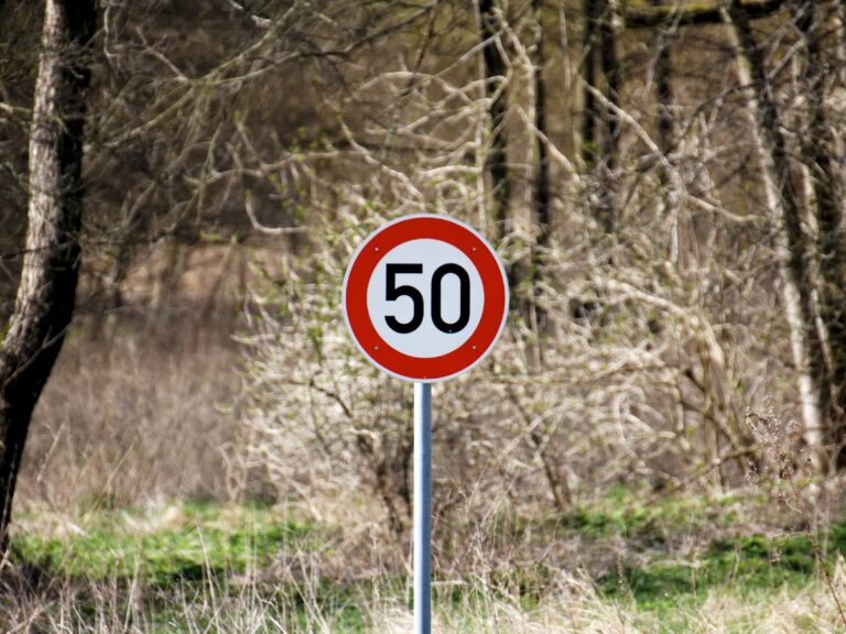 Tempo 50 (Symbolbild)