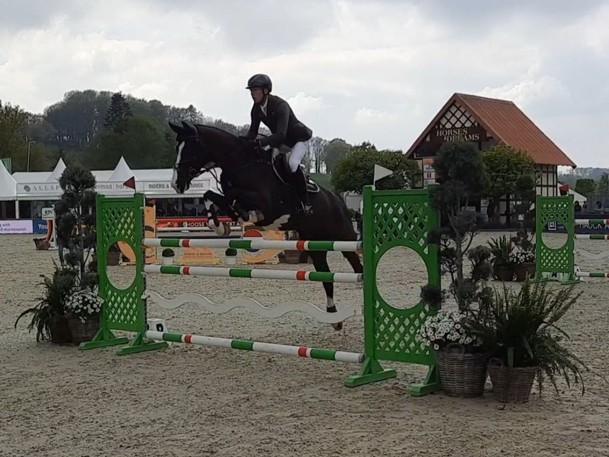 Springerreiter Tim Rieskamp-Goedeking beim großen Sprung. 