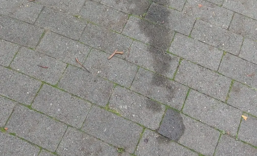 Urin gibt auf Straßenpflaster keine Flecken... Reste eines ungewöhnlichen Protests / Foto: Privat