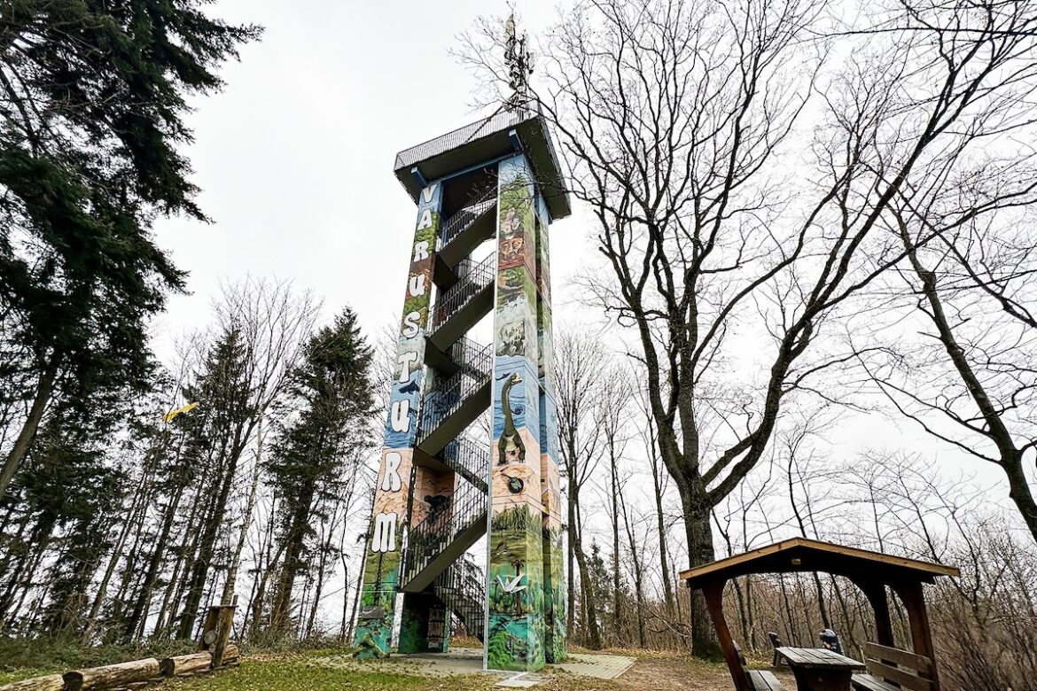 Ohne Bauzäune wieder zugänglich: Der Varusturm auf dem Lammersbrink. Foto: Stadt Georgsmarienhütte/ Niklas Otten