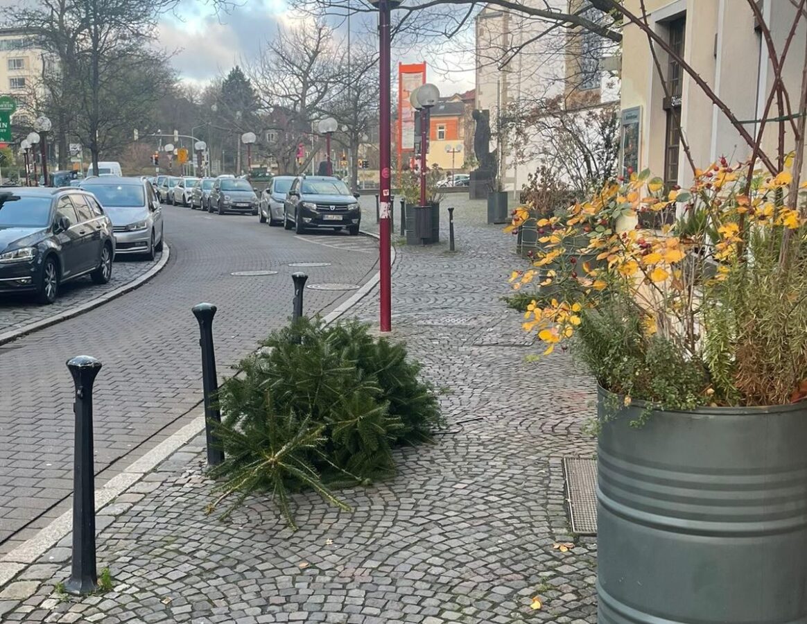 Dieser Baum landete am Straßenrand der Bierstraße