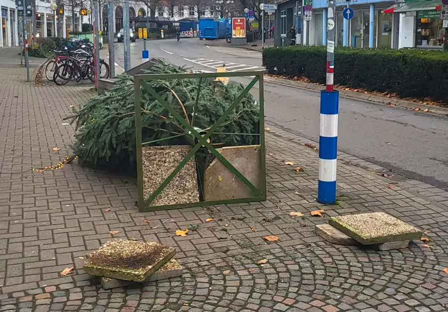 Die große Tanne an der Ecke zur Kranhstraße wurde umgeworfen, nachdem die Vandalen die schweren Betonplatten aus dem Haltegestell entnommen hatten