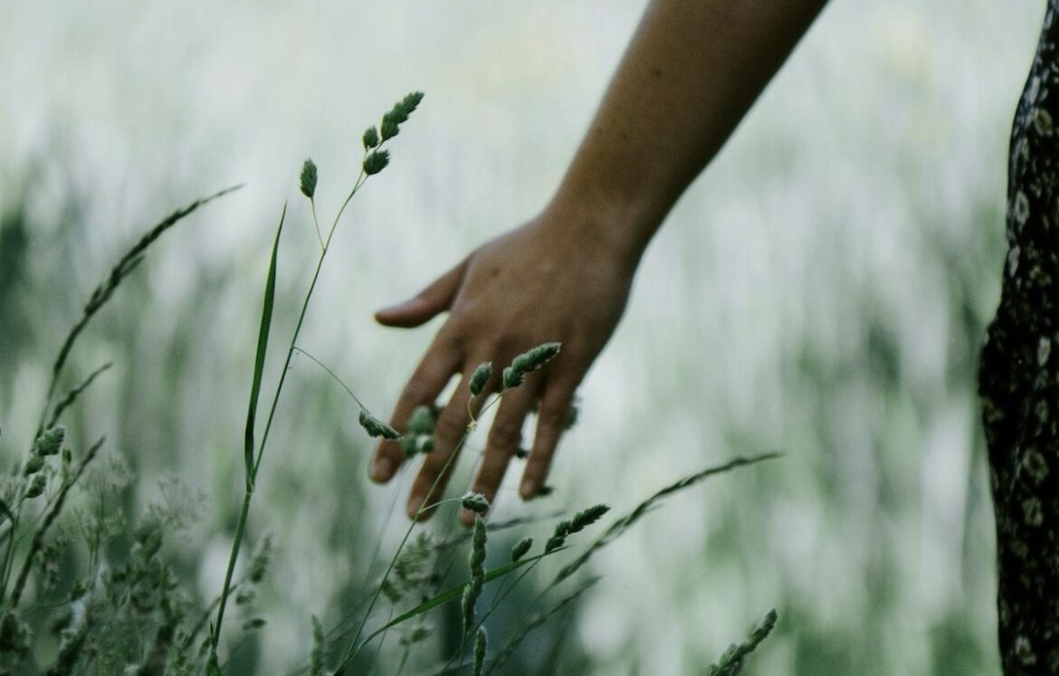 Spaziergang auf einer Wiese