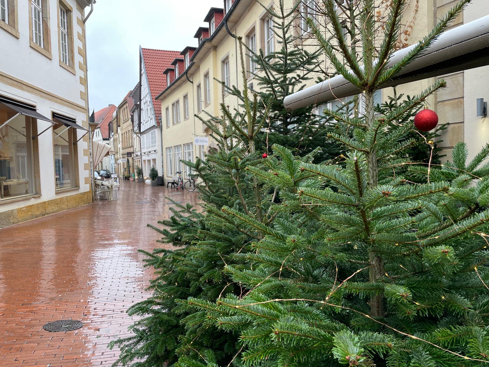 Joe Enochs Sportsbar verwandelt die Osnabrücker Altstadt in einen Glitzerwald Winterwald vor Joe Enochs Sportsbar. / Foto: Dominik Lapp