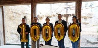 v.l.n.r. 10.000 Euro für die Osnabrücker Schimpansen: Benjamin Müller (Revierleiter), Tobias Klumpe (Zoodirektor), Beate Jakobs (Vorständin Vereinigte Volksbank), Philipp Bruelheide (Zoogeschäftsführer) sowie Larissa Langkamp (Sponsorin Zoo Osnabrück) haben gemeinsam die neuen Beschäftigungselemente in Augenschein genommen.