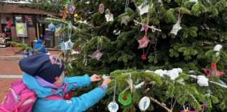 Auch in diesem Jahr können ausgewählte Schulklassen den Weihnachtsbaum im Zoo mit ihrem selbstgebastelten Weihnachtsschmuck dekorieren. / Foto: Lara Holzkamp