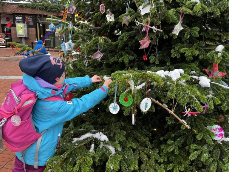 Auch in diesem Jahr können ausgewählte Schulklassen den Weihnachtsbaum im Zoo mit ihrem selbstgebastelten Weihnachtsschmuck dekorieren. / Foto: Lara Holzkamp