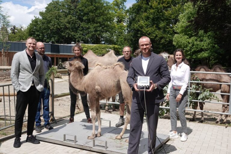 Zoo Osnabrück freut sich über Bodenwaage des Sponsors Höfelmeyer Waagen GmbH