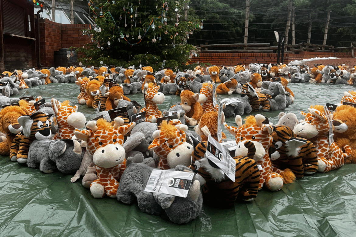 Bereits in den vergangenen zwei Jahren war die Plüschtier-Spendenaktion des Zoo Osnabrück ein voller Erfolg. In diesem Jahr sollen die gespendeten Plüschtiere an das Christliche Kinderhospital Osnabrück übergeben werden. Bildquelle: Zoo Osnabrück (Lara Holzkamp).