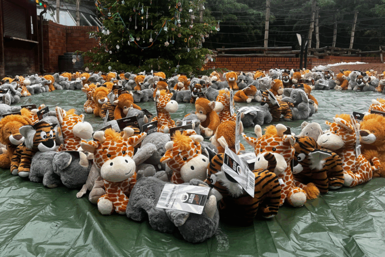 Bereits in den vergangenen zwei Jahren war die Plüschtier-Spendenaktion des Zoo Osnabrück ein voller Erfolg. In diesem Jahr sollen die gespendeten Plüschtiere an das Christliche Kinderhospital Osnabrück übergeben werden. Bildquelle: Zoo Osnabrück (Lara Holzkamp).