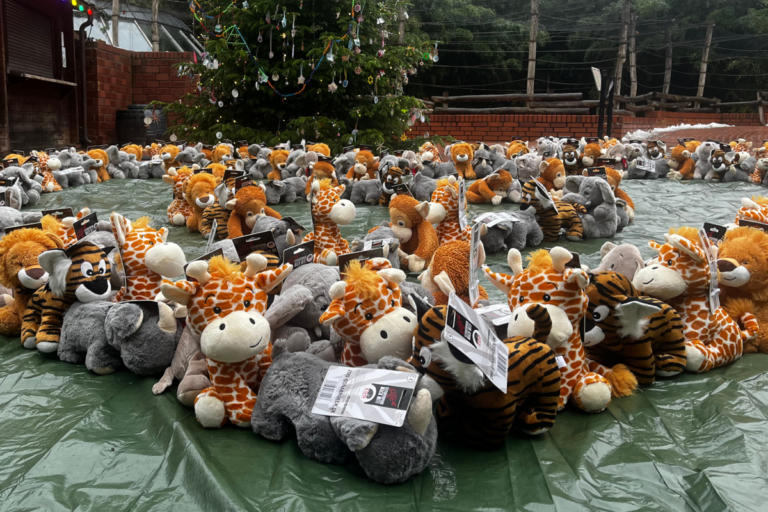 Bereits 2023 war die Plüschtier-Spendenaktion des Zoo Osnabrück ein voller Erfolg. In diesem Jahr sollen die gespendeten Plüschtiere an die Kinder- und Jugendpsychiatrie sowie an das Sozialpädiatrische Zentrum des Kinderhospital Osnabrück übergeben werden. / Foto: Zoo Osnabrück