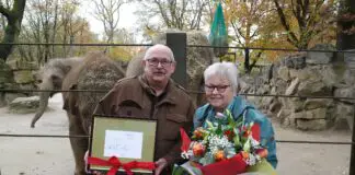 Das Ehepaar Uwe und Petra Abt hat das Bild von Otto Waalkes in der stillen Auktion des Zoo Osnabrück ersteigert. / Foto: Lara Holzkamp