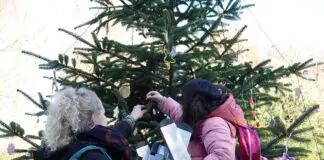 Weihnachtsbaumschmucken im Zoo Osnabrück