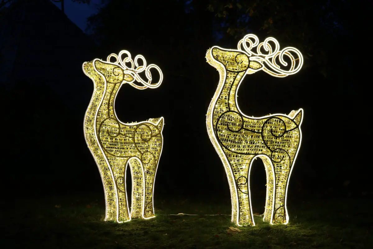 Funkelnde Zoo-Lights schaffen im Zoo Osnabrück eine stimmungsvolle Atmosphäre und begleiten die Besucher entlang des Rundwegs.
